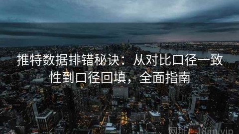 推特数据排错秘诀：从对比口径一致性到口径回填，全面指南
