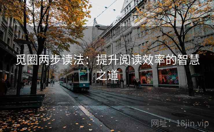 觅圈两步读法：提升阅读效率的智慧之道