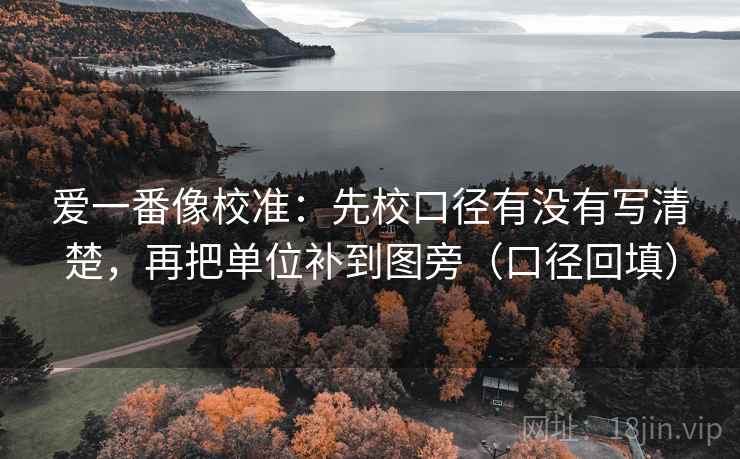 爱一番像校准:先校口径有没有写清楚,再把单位补到图旁(口径回填) 爱一番像校准:先校口径有没有写清楚,再把单位补到图旁(口径回填)